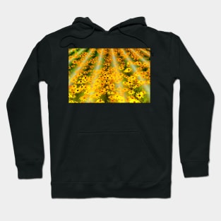 Field of Dreams Hoodie